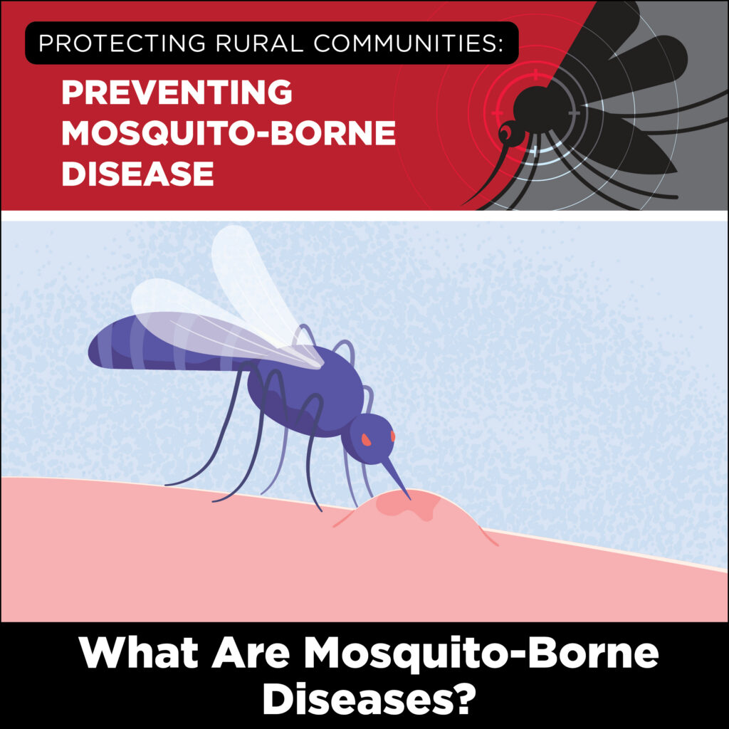 Preventing Mosquito-Borne Disease cover